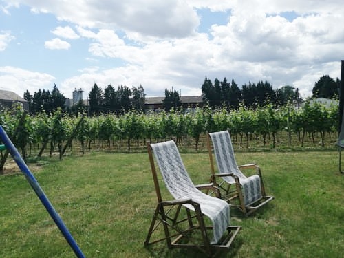 Domaine Fritz, Location de Gîtes à Sigolsheim en Alsace, Aire de jeux 104