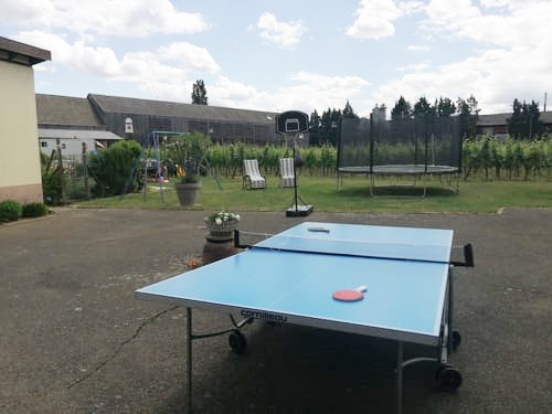 Domaine Fritz, Location de Gîtes à Sigolsheim en Alsace, Aire de jeux 106